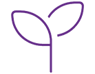 A purple plant with two leaves drawn in the shape of a p.